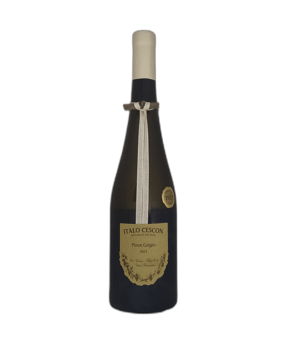 Pinot Grigio ÔÇ£Il TralcettoÔÇØ 2023