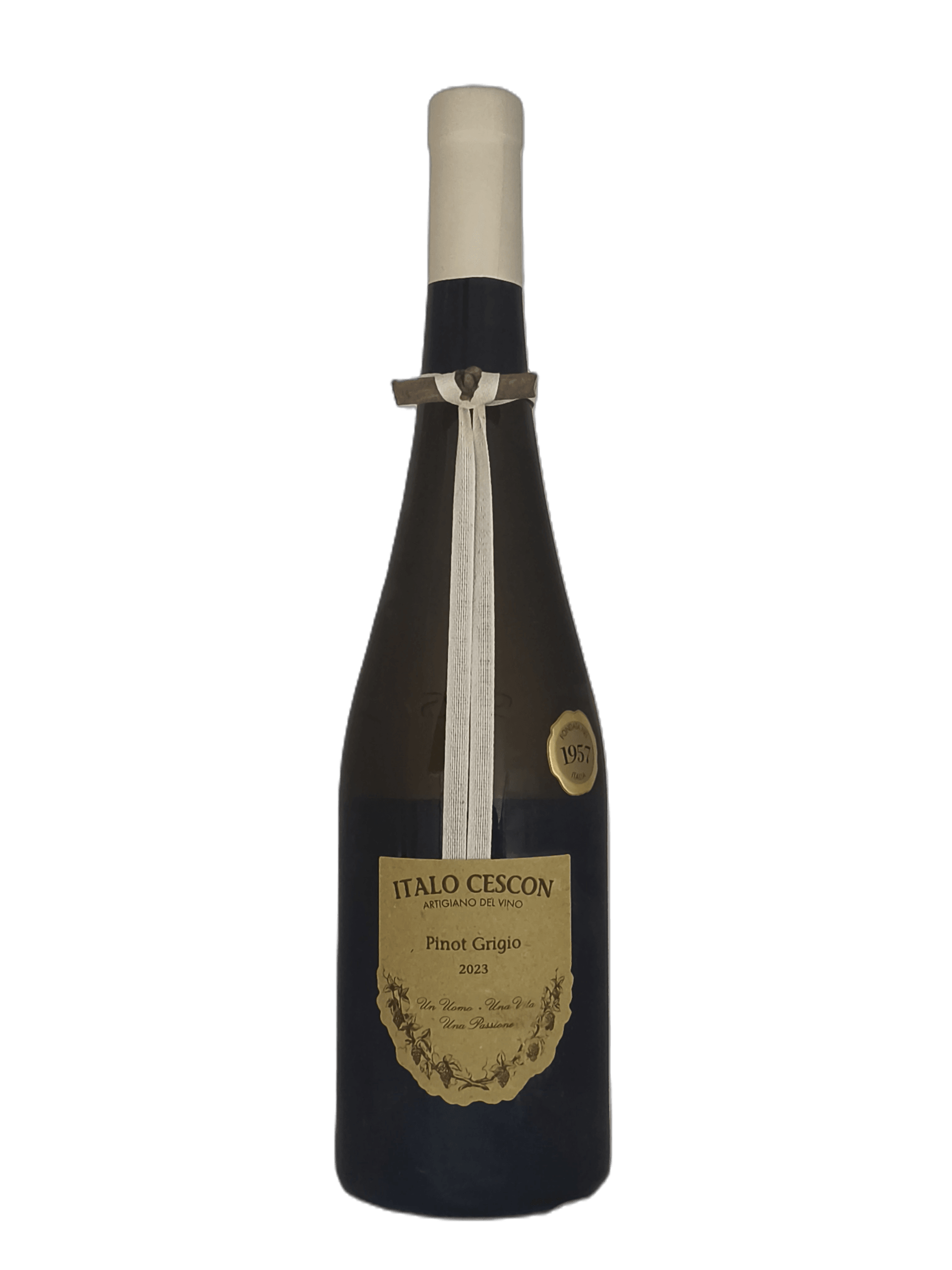 Pinot Grigio "Il Tralcetto" 2023