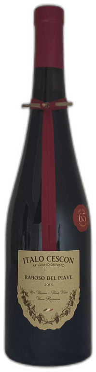 Raboso del Piave ÔÇ£Il TralcettoÔÇØ 2016
