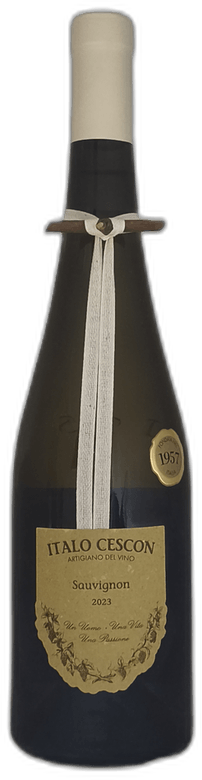 Sauvignon ÔÇ£Il TralcettoÔÇØ 2023