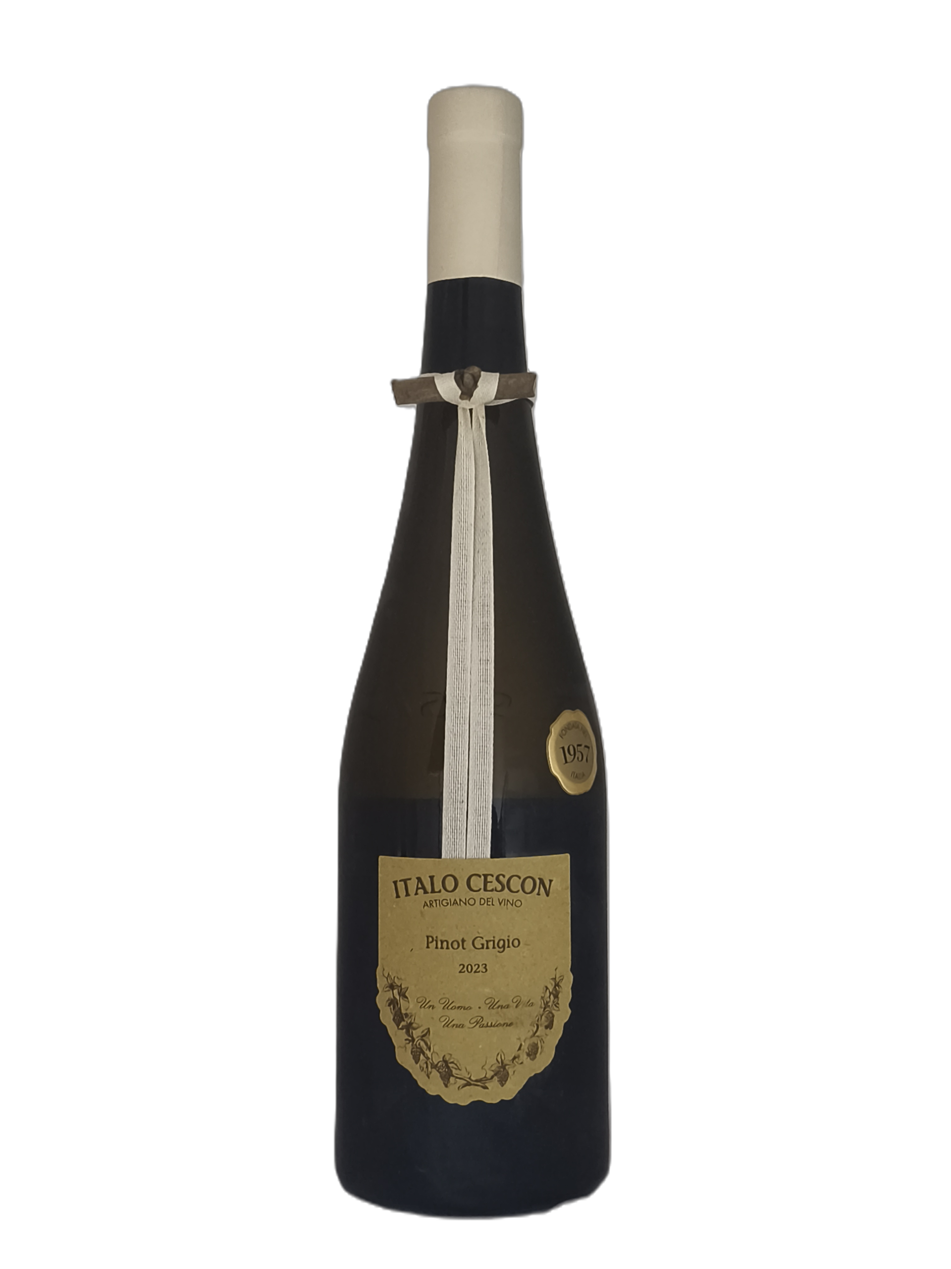 Pinot Grigio "Il Tralcetto" 2023