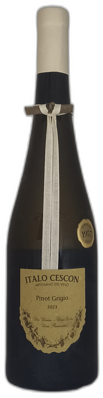Pinot Grigio “Il Tralcetto” 2023