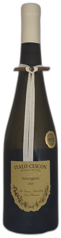 Sauvignon ÔÇ£Il TralcettoÔÇØ 2023